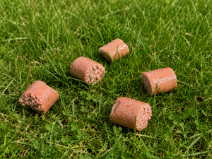 Wurststücke auf einer Rasenfläche (Symbolfoto, KI-generiert).